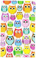 Carson Dellosa Colorful Owls Library Pockets (121011)