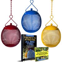 Backyard Expressions - Set of 3 Bird Feeders for Outdoors Squirrel Proof - Bonus Ebook and Bird Attraction Audio Included