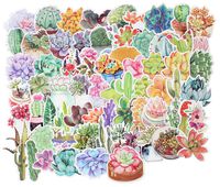 Stickers Decals - 70 Pcs Laptop Vinyl Stickers car Sticker for Snowboard Bike Phone Mac Computer Keyboard Car Window Bumper Wall Luggage Decal Graffiti Patches (70 Pcs Succulents)