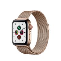 Apple Watch Series 5 (GPS + Cellular, 40mm) - Gold Stainless Steel Case with Gold Milanese Loop