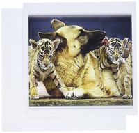3dRose Precious Photo Of German Shepard Licking Tiger Kitten - Greeting Cards, 6 x 6 inches, set of 6 (gc_101071_1)