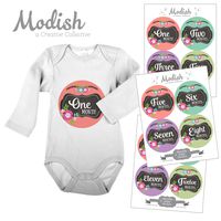 12 Monthly Baby Stickers, Girl, Chalboard, Flowers, Baby Belly Stickers, Baby Month Stickers, First Year Stickers Months 1-12, Pink, Mint, Teal, Purple, Green, Baby Girl