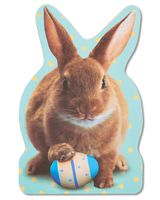 American Greetings Jumbo Bunny Easter Card