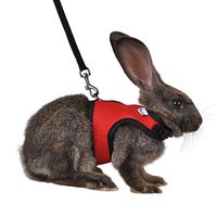 Niteangel Adjustable Soft Harness with Elastic Leash for Rabbits (M, Red)