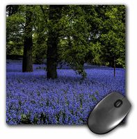 3dRose LLC 8 x 8 x 0.25 Inches Field of Blue Bells Mouse Pad (mp_151892_1)