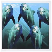 3dRose Curious Dolphins - Greeting Cards, 6 x 6 inches, set of 6 (gc_1071_1)