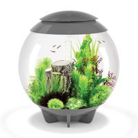 biOrb Halo 60 Aquarium with MCR Lighting - 16 Gallon, Grey