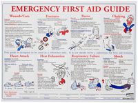 Brady PS128E 18" Height, 24" Width, Laminated Paper, Black, Red, Blue On White Color Prinzing First Aid Training Poster, Legend "Emergency First Aid Guide"