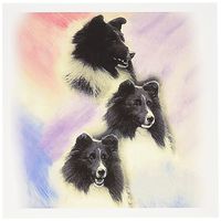 3dRose Black Sheltie - Greeting Cards, 6 x 6 inches, set of 6 (gc_1050_1)