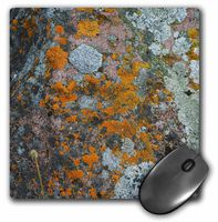 3dRose LLC 8 x 8 x 0.25 Inches Mouse Pad, Lichens at Thule Archaeological Site (mp_37684_1)