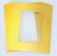 Pack of 10 GOLD 16x20 Picture Mats Matting with White Core Bevel Cut for 11x14 Pictures