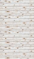 Ella Bella Photography Backdrop Paper, White Washed Wood, 48" x 12', 1 Roll