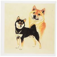 3dRose Shiba Inu - Greeting Cards, 6 x 6 inches, set of 12 (gc_1022_2)