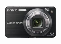 Sony Cybershot DSCW170/B 10.1MP Digital Camera with 5x Optical Zoom with Super Steady Shot (Black)