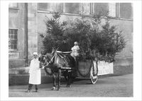 Nouvelles Images XDB 480 Holiday Boxed Note Card Set - William Power Seed Merchant Cart (XDB 480)