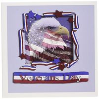 3dRose Veterans Day Patriotic Eagle - Greeting Cards, 6 x 6 inches, set of 6 (gc_16341_1)
