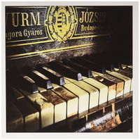 3dRose Vintage Hungarian Made Piano Closeup - Greeting Cards, 6 x 6 inches, set of 6 (gc_119592_1)