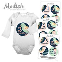12 Monthly Baby Stickers, Birds, Flowers, Feathers, Girl, Baby Belly Stickers, Monthly Onesie Stickers, First Year Stickers Months 1-12, Navy, Blue, Pink, Baby Girl