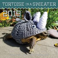 Tortoise in a Sweater 2019: 16-Month Calendar - September 2018 Through December 2019