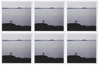 3dRose A seagull dreams photograph - Greeting Cards, 6 x 6 inches, set of 6 (gc_19248_1)