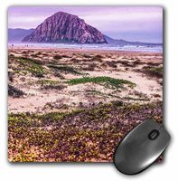 3Drose LLC 8 X 8 X 0.25 Inches Mouse Pad, Morro Rock and Bay (Mp_110807_1)