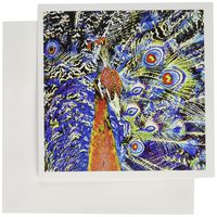 3dRose Peacock and Feathers Orange Artistic Graphic C Greeting Cards, Set of 6 (gc_178535_1)