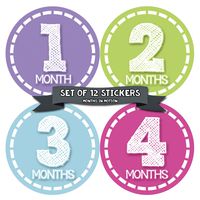 Months in Motion Baby Monthly Stickers - Baby Milestone Stickers - Newborn Girl Stickers - Month Stickers for Baby Girl - Baby Girl Stickers - Newborn Monthly Milestone Stickers - Style 376