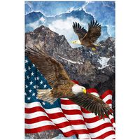 Northcott Stars & Stripes 7 Digital Soaring High 24'' Panel Navy