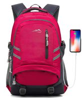 Backpack for School College Student Bookbag Business Laptop Travel with USB Charging Port Chest Luggage Straps Night Light Reflective (Pink)