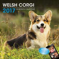 LittleGifts Welsh Corgi 2017 Calendar (3068)
