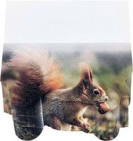 4A 3D Shape Printed Sticky Notes,Cute Designs,Printed With Red Squirrel,Self-Stick Notes,3.75 x 4.13 Inches,100 Sheets/Pad,1 Pad/Pack,4A 8088