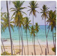 3dRose Print of Tall Palms Over Turquoise Sea on Carribean Beach Mouse Pad (mp_182522_1)