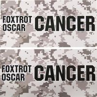 TWO (2) MELANOMA SKIN Cancer Foxtrot Oscar Cancer Awareness Black Letters Toolbox Hardhat Laptop Skateboard STICKERS Decals
