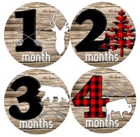 Mumsy Goose Baby Boy Month Stickers (1-12 Months) Rustic Boy 1st Year Milestone Stickers Made in The USA