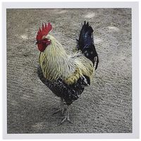 3dRose Rooster - Greeting Cards, 6 x 6 inches, set of 12 (gc_4328_2)