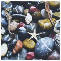 3Drose LLC 8 X 8 X 0.25 Inches Mouse Pad, Seahorses Shells N Stones (Mp_109993_1)