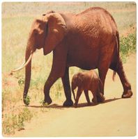 3drose Print of African Elephant with Her Baby - Mouse Pad