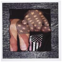 3dRose Born Free - Greeting Cards, 6 x 6 inches, set of 12 (gc_12507_2)