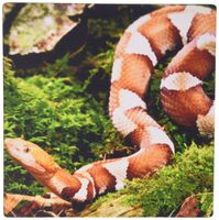 3dRose LLC 8 x 8 x 0.25 Inches Mouse Pad, Teddy Bear On Chair (mp_34905_1)