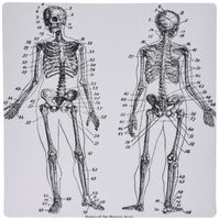 3dRose 8 x 8 x 0.25 Inches Image of Victorian Skelton Front and Back Mouse Pad (mp_163162_1)