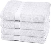 Pinzon 4 Piece Egyptian Cotton Bath Towels Set - White