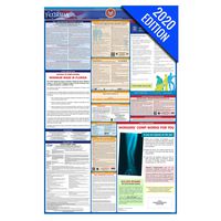 FL Labor Law Poster, 2020 Edition - State, Federal and OSHA Compliant Laminated Poster (Florida, English)