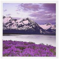 3dRose Alaska, Alsek River, Fairweather Range flowers - US02 BJA0147 - Jaynes Gallery - Greeting Cards, 6 x 6 inches, set of 12 (gc_87358_2)