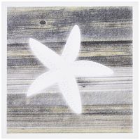 3dRose image of white starfish on weathered board - Greeting Cards, 6 x 6 inches, set of 12 (gc_173896_2)