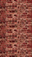 Ella Bella Photography Backdrop Paper, Aged Red Brick, 48" x 12', 1 Roll