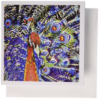 3dRose Set of 12 Greeting Cards, Peacock and Feathers Orange Artistic Graphic C (gc_178535_2)