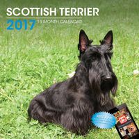 LittleGifts Scottish Terrier 2017 Calendar (3064)