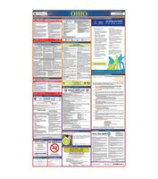 Osha4less Ohio All-in-One Labor Law Posters (OH-A1)
